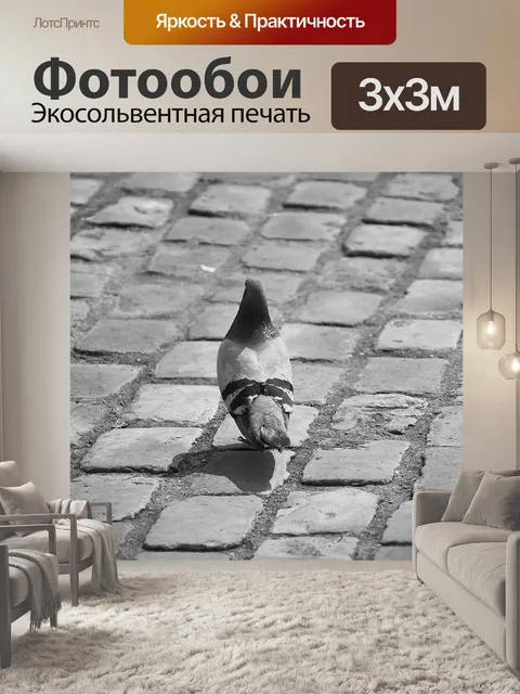 Фотообои Голубь городов