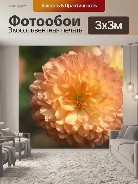Фотообои Цветок