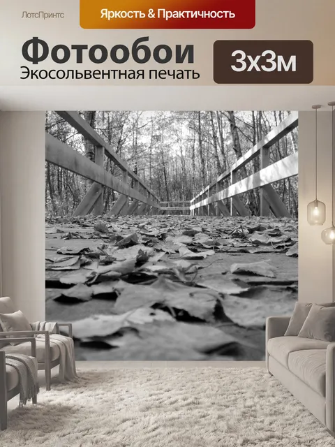 Фотообои Сеть