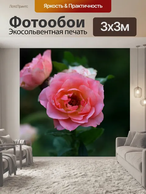 Фотообои Розы
