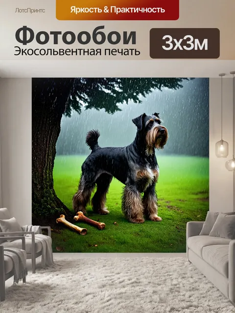 Фотообои дождливый день: бриар стоит под мокрым деревом