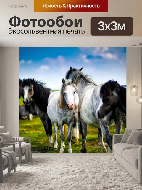 Фотообои Лошади