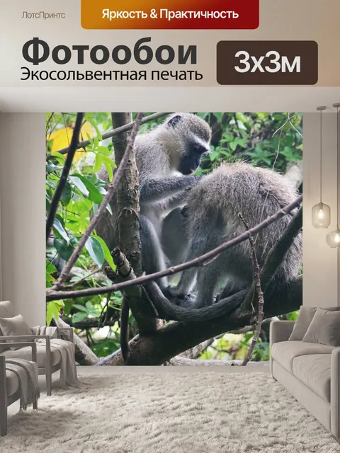 Фотообои обезьяны вервет в дереве взаимодействующ