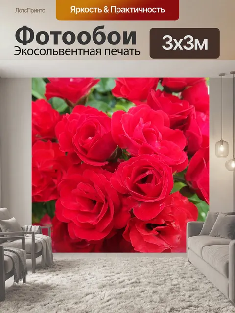 Фотообои Розы