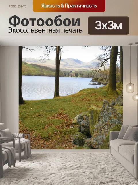Фотообои В лесу