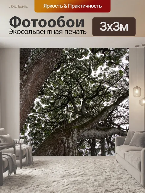 Фотообои Навес дерева