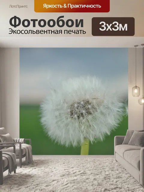 Фотообои Одуванчик