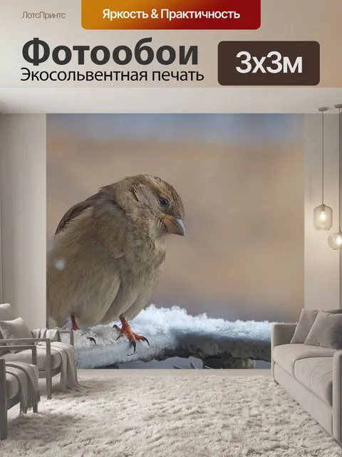 Фотообои Воробей