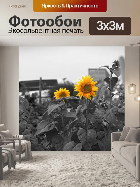 Фотообои Подсолнухи