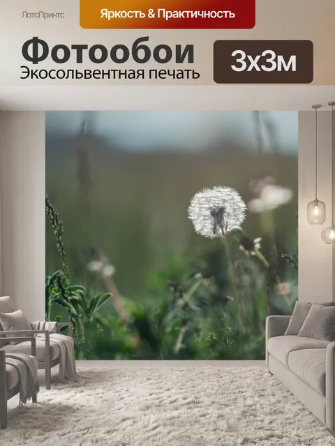 Фотообои Одуванчик