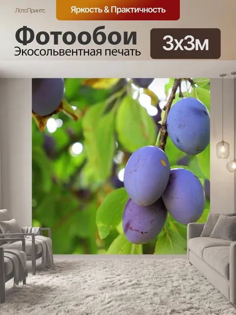 Фотообои Слива