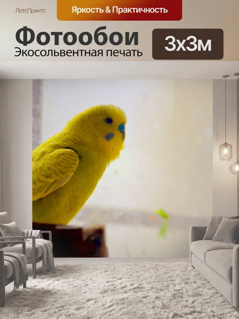 Фотообои Желтый попугай