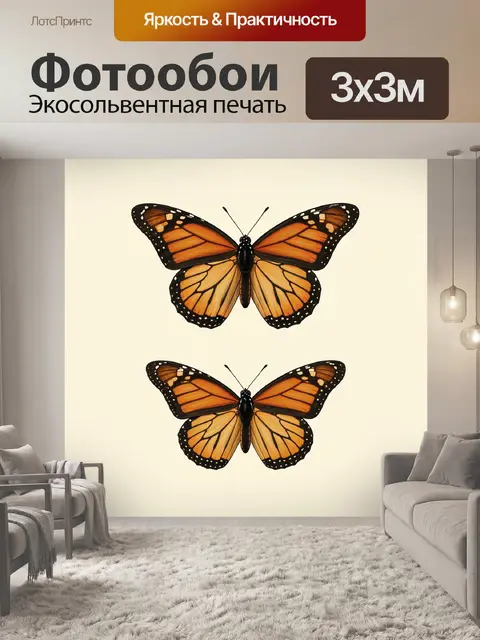 Фотообои Две оранжевые бабочки монарх