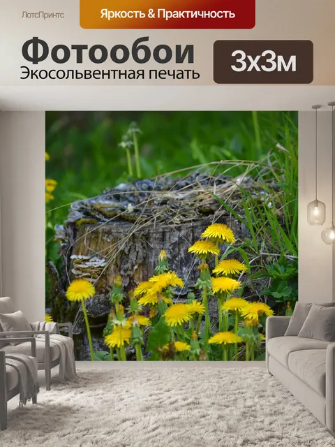 Фотообои Пень