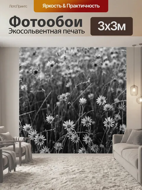 Фотообои Черное и белое