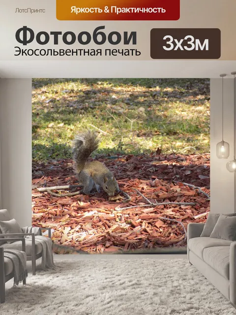 Фотообои Природа