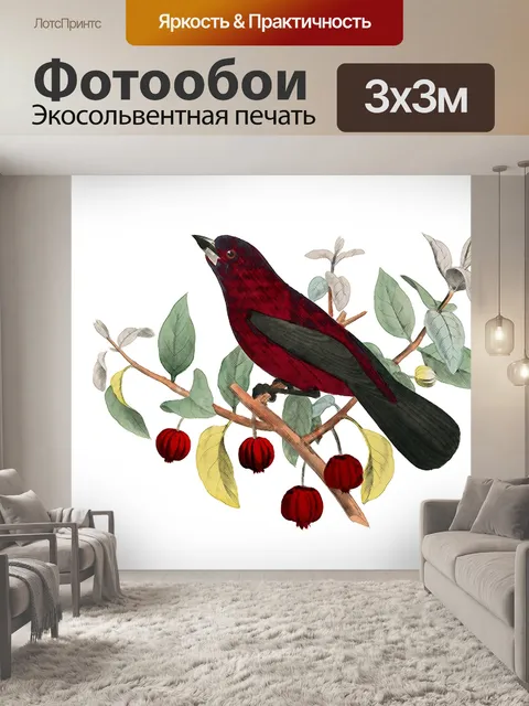 Фотообои Птица на ветке Иллюстрация