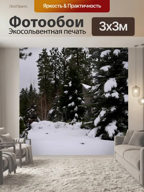 Фотообои Первый снег