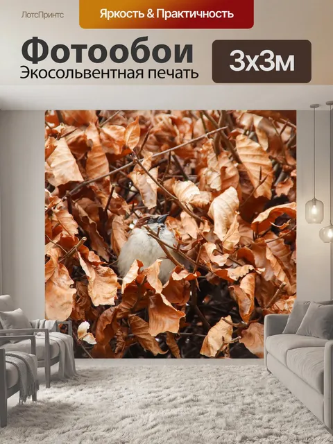 Фотообои Птица