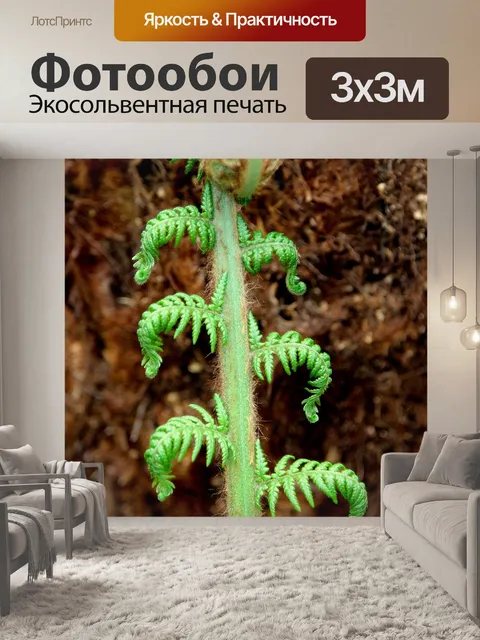 Фотообои Лист