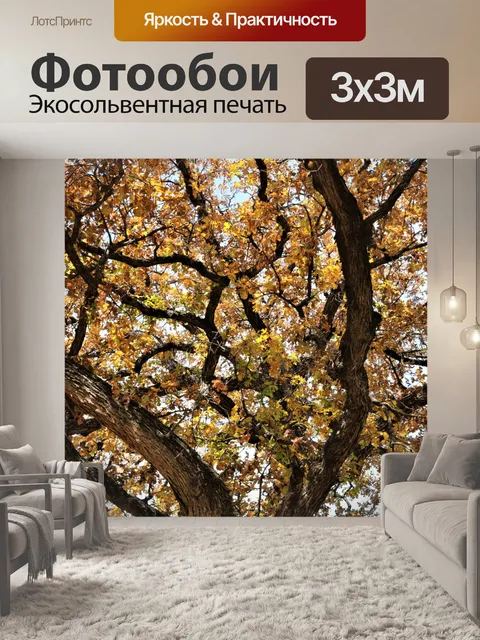 Фотообои Ветви дуба осенью