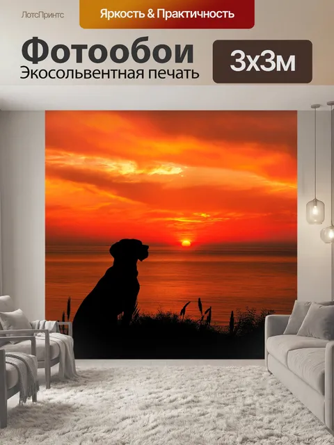 Фотообои Интересный