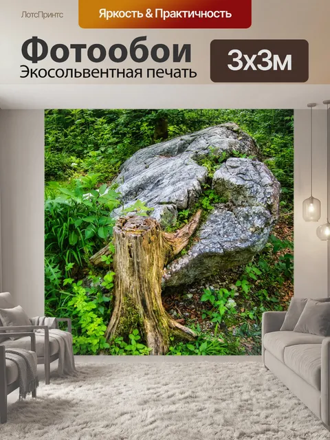 Фотообои Пень