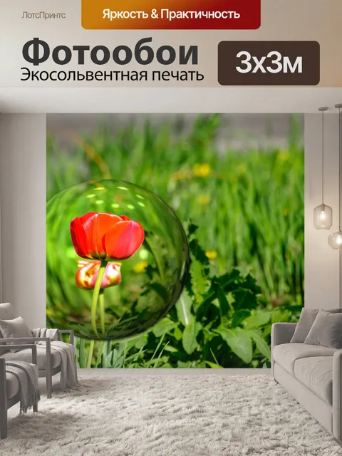 Фотообои Тюльпан в траве