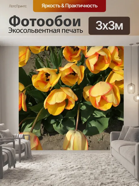 Фотообои Желтый