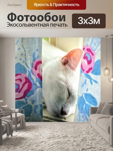 Фотообои Кошка