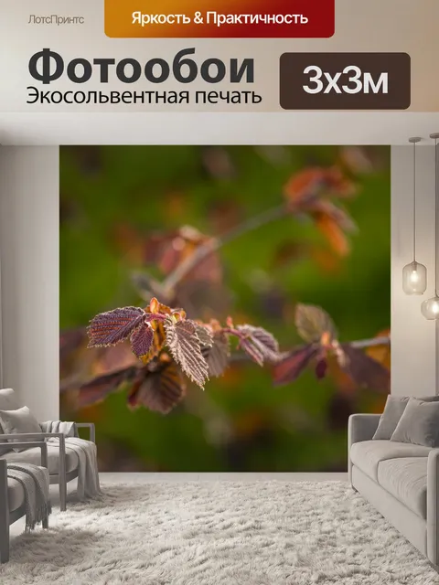 Фотообои Новые листья