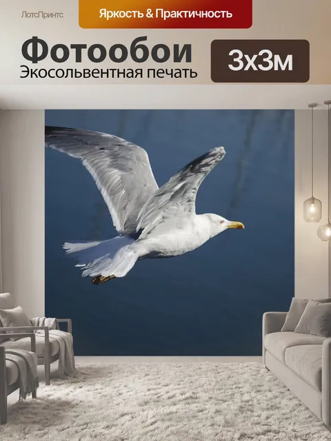 Фотообои Птицы