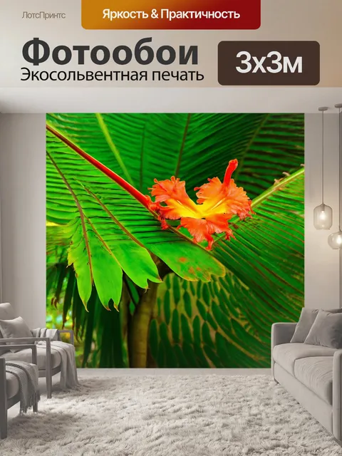 Фотообои тропические фауна и флора, показывающие яркие и необычные виды растений и животных