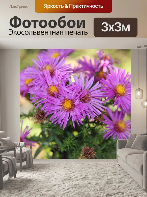 Фотообои Цветы