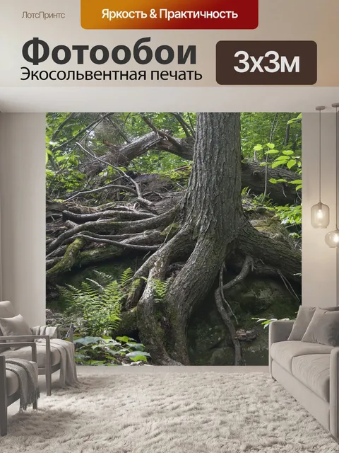 Фотообои Лес