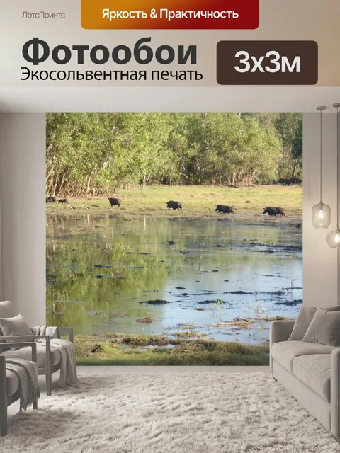Фотообои Озеро