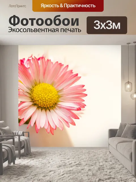 Фотообои Ромашки