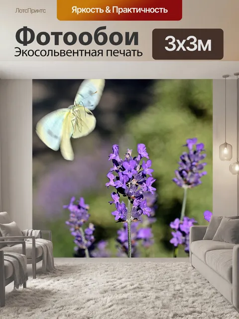 Фотообои Лаванда
