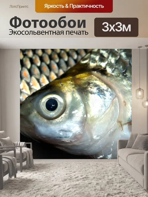 Фотообои Пресноводная рыба фото