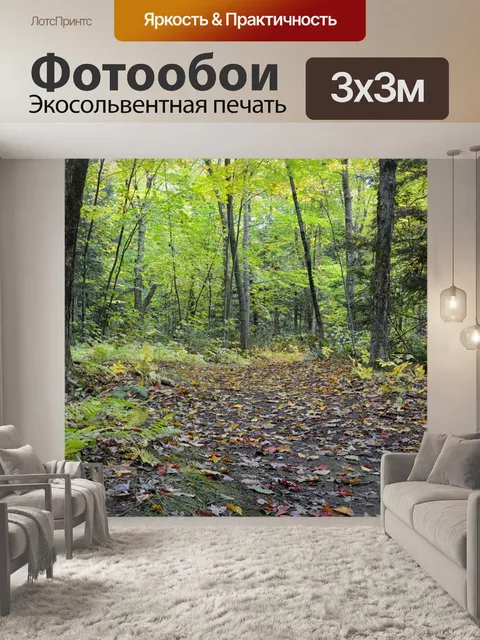 Фотообои Лесной пейзаж