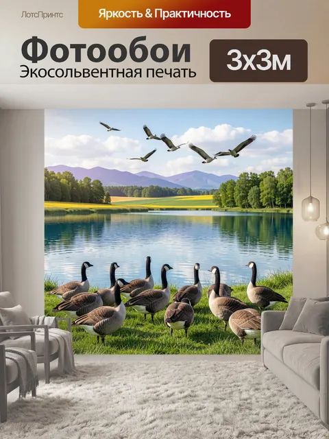 Фотообои На изображении показано стадо канадских гусей