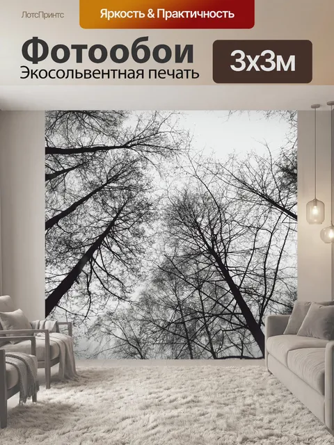 Фотообои Лес