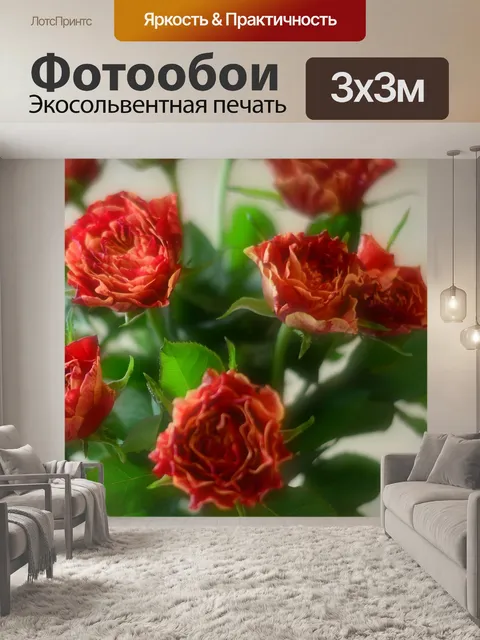 Фотообои Цветы розы