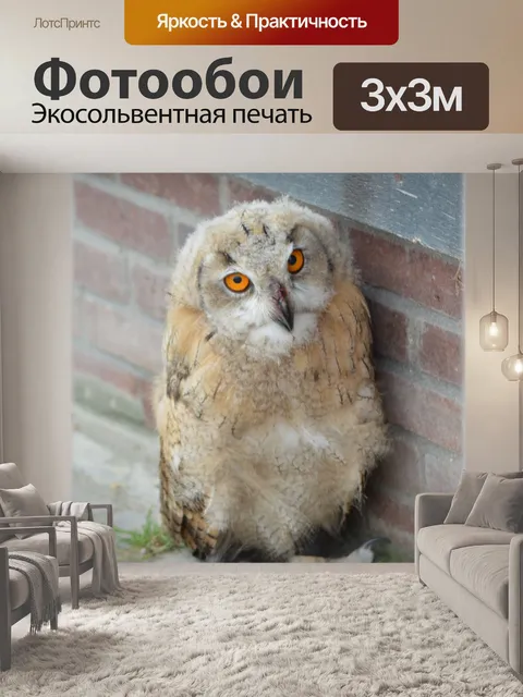 Фотообои Хищники 03