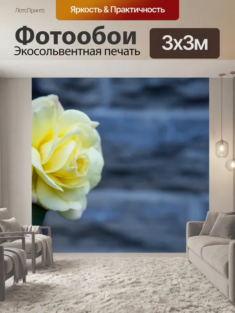 Фотообои Роза
