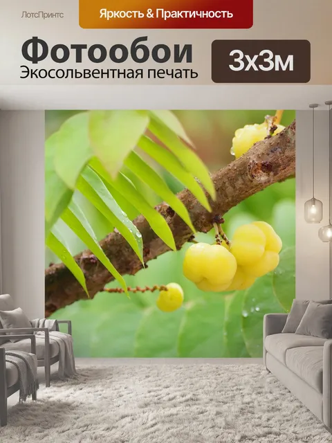 Фотообои Природа