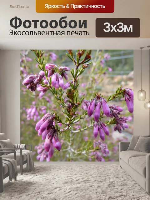 Фотообои Цветы