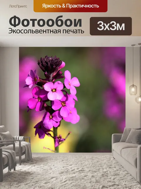 Фотообои Цветок