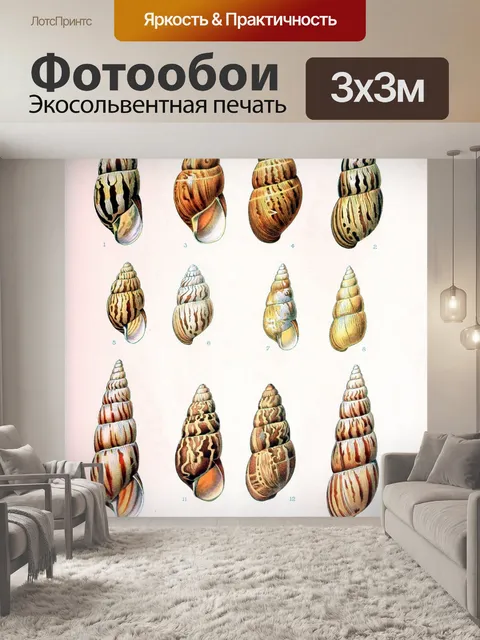 Фотообои Ракушка старинное искусство старый