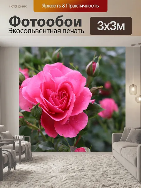 Фотообои Цветы
